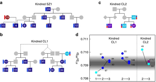 Fig. 4 Major kindreds in Szólád and Collegno. Kindreds SZ1 (a), CL1 (b), and CL2 (c), with colors corresponding to criteria and labeling in Fig