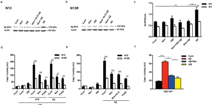 Figure 2.  The P2X7R is needed for Aβ-mediated activation of the NLRP3 inflammasome: inhibition by 