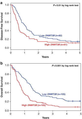 Figure 1. Clinical outcome of CN-AML patients with high and low DNMT3B expression. Kaplan –Meier survival curves for (a) disease-free survival and (b) overall survival
