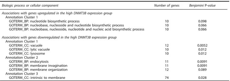 Table 4. Gene Ontology terms associated with differentially expressed genes in the high DNMT3B expression group