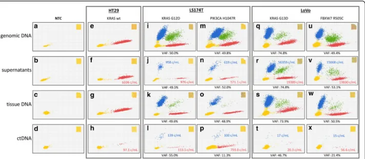 Fig. 2 dPCR analysis of KRAS status in cell lines, culture supernatants, tumor tissue xenotransplants and mouse plasma