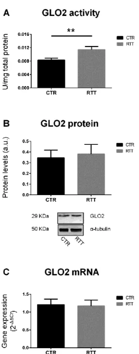 Figure 2. Assessment of glyoxalase 2 pattern. (A) GLO2 specific activity; (B) GLO2 protein levels, with  representative  (inverted)  Western  blots;  (C)  glo2  gene  expression  levels