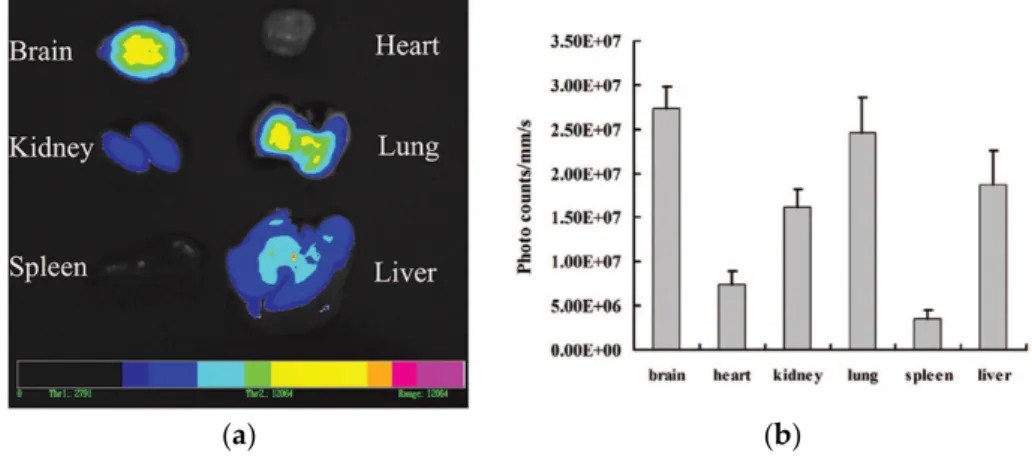 Figure 6. Distribution of wheat germ agglutinin (WGA)-conjugated quantum dots-loaded  nanoparticles in various organs, 3 h after intranasal administration: (a) optical image (b)  quantification of luminescence signals (adapted with permission from  [153]