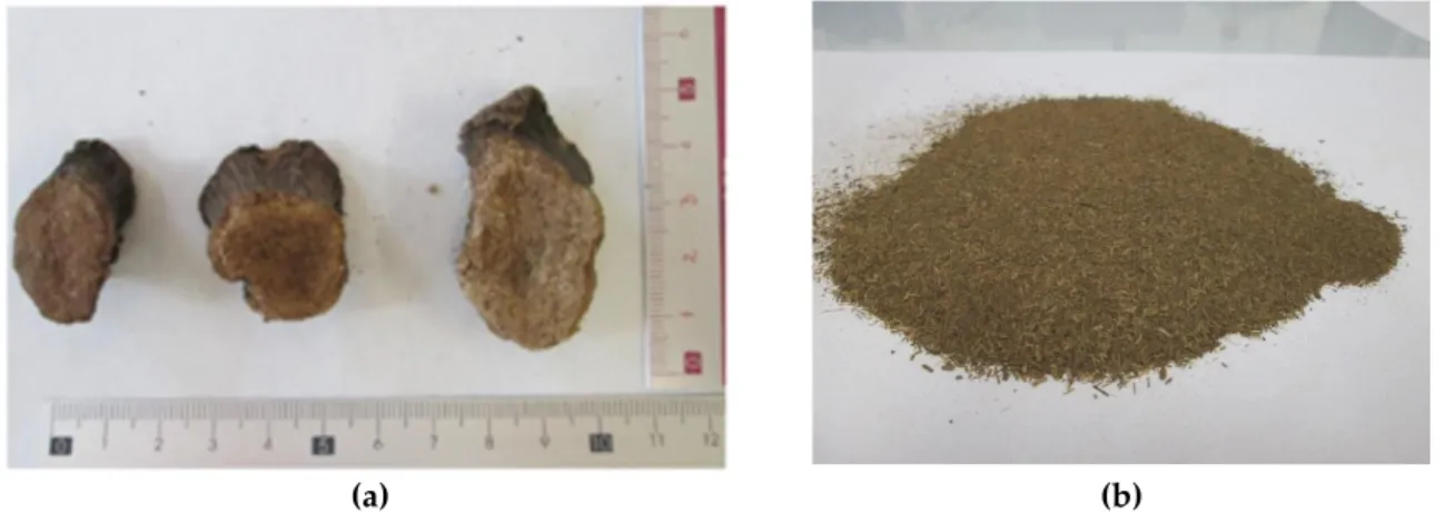 Figure 1. Samples of raw banana rachis (a) and rachis powder after grinding and drying (b)