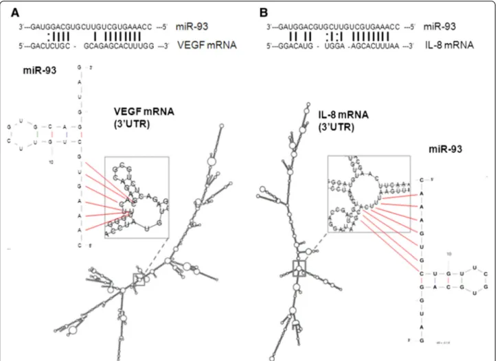 Figure 6 shows that the modulation of IL-8 gene expres- expres-sion is similar in two different glioma cell lines (U251 and T98G) treated as described in Fig