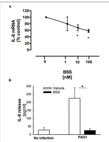 FIGURE 4 | Effect of BSS on PAO1-stimulated IL-8 expression in IB3-1 cells. (A) IB3-1 cells were treated with ranging doses (1–100 nM) of BBS for 16 h and infected with PAO1 for further 4 h