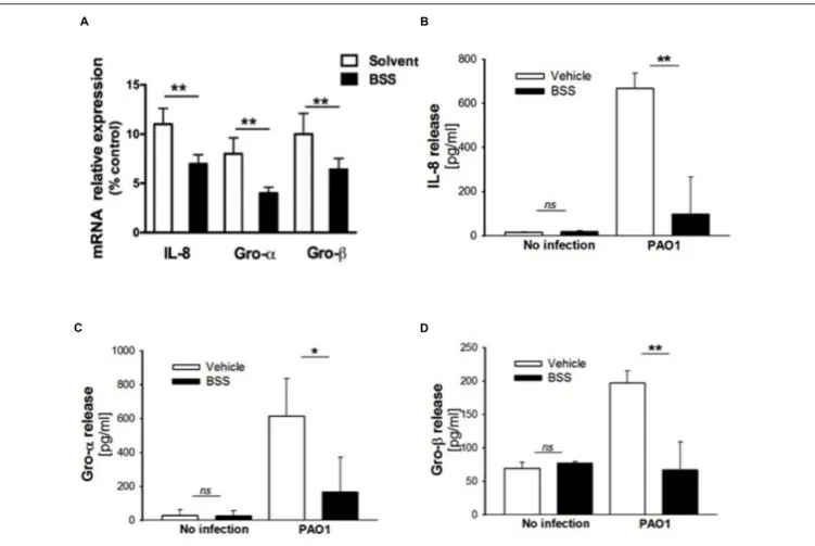 FIGURE 6 | Effect of BSS on expression of neutrophil chemokines in CuFi-1 cells. (A) CuFi-1 cells were treated for 16 h with solvent alone or 100 nM BSS and then infected by PAO1 (10–50 CFU/cell) for 4 h