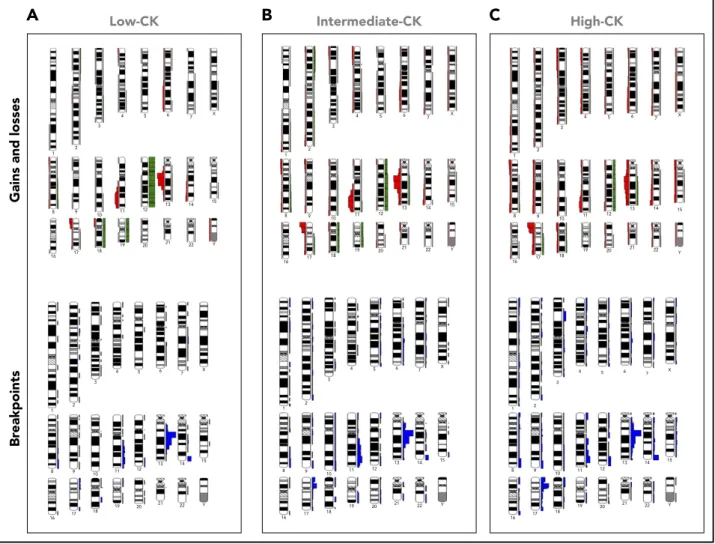 Figure 3. Distribution of chromosome gains and losses as well as chromosomal breakpoints in the CKs of the present series within 3 aberrations (low-CK),