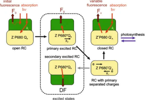 Fig. 6 Illustration of the difference between F O and DF. Following