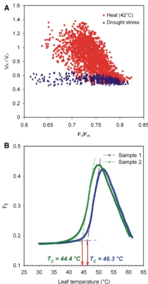 Fig. 9 Comparison of the effect of high-temperature stress applied in the light and in darkness on the OJIP kinetics