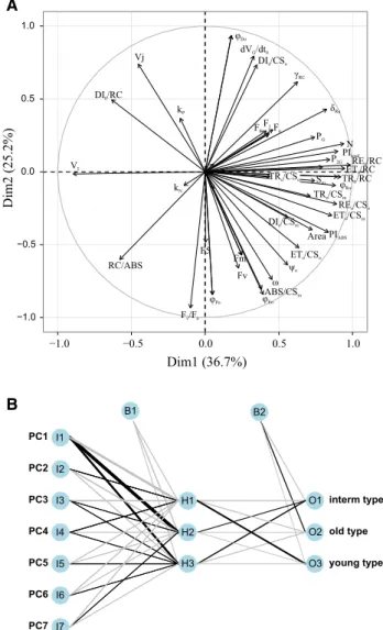 Fig. 11 Machine learning methods. a principal component analysis (PCA) of 54 Chl a fluorescence parameters derived from a study on the effect of the density of grass on OJIP measurements