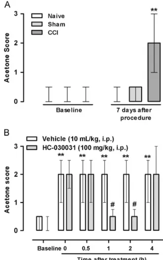Fig. 2. TRPA1 antagonist reduced neuropathy-induced cold allodynia in mice. (A) Nocifensive reaction scores for the right hind paw of animals after evaporative cooling of acetone before (baseline) and 7 days after the procedure in naïve, sham and chronic c