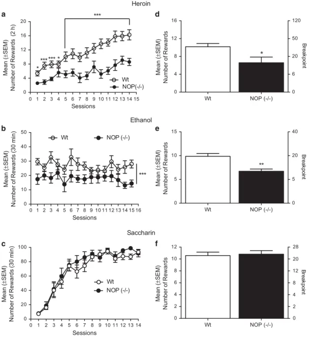 Figure 3 (a) Acquisition pattern (14 days) of heroin self-administration in NOP ( − / − ; n = 10) in black circles and in Wt rats (n = 11) in white circles under an FR1 schedule of reinforcement