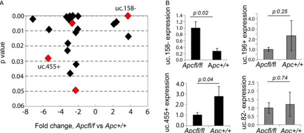 Figure 1 Transcribed-ultraconserved regions (T-UCR) pro ﬁling in an Apc hypomorphic hepatocarcinoma (HCC) mouse model