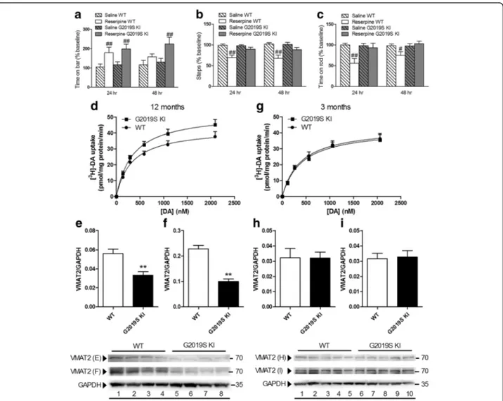 Fig. 6 Age-dependent dysfunction of VMAT2 expression and function in G2019S knock-in (KI) mice