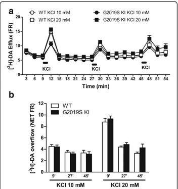 Fig. 3 Dopamine (DA) release is preserved in G2019S knock-in (KI) mice. [ 3 H]-DA preloaded synaptosomes obtained from the striata of 12-month-old G2019S KI mice and age-matched WT littermates were continuously superfused with Krebs and stimulated with 3 p