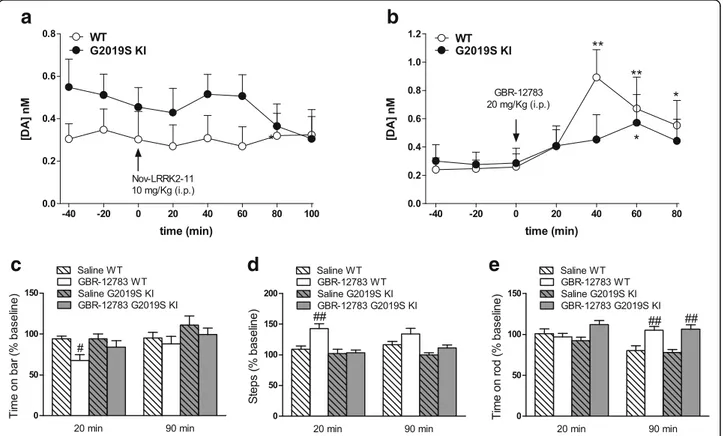 Fig. 4 Acute blockade of LRRK2 kinase activity does not affect striatal dopamine (DA) levels whereas acute DAT blockade evoked blunted neurochemical and behavioral responses in G2019S knock-in (KI) mice in vivo