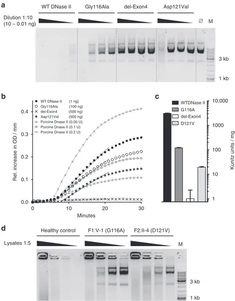 Fig. 3 Effect of DNASE2 mutations on DNase II activity. a DNase II activity of constructs expressed in HEK293T cells against circularized plasmid DNA