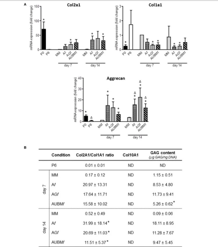 FigUre 6 | Continued