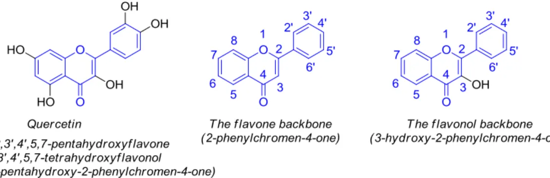 Figure 1. Structure of quercetin and representation of flavone and flavonol backbones