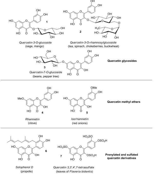 Figure 2. Structures of quercetin derivatives 1–7 along with their occurrence in food and plants