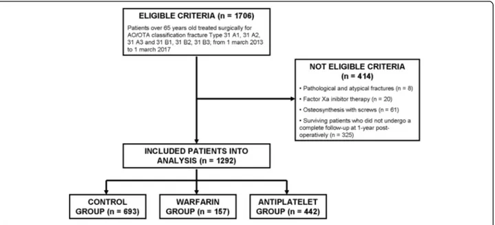 Fig. 1 Flowchart describing the inclusion and exclusion criteria of the study