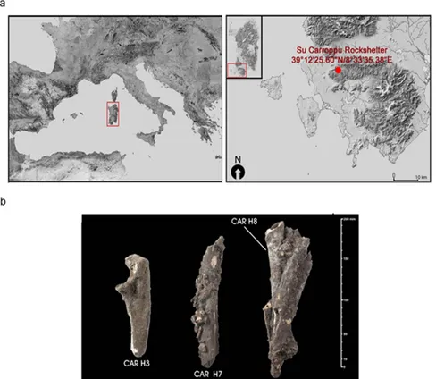 Figure 1.  Su Carroppu site and samples. (a) the location of Su Carroppu rockshelter, Sardiania (Italy) and  