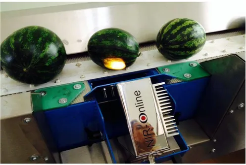 Figure  6.  NIR  in-line  instrument  set  up  on  the  conveyor  belt  system  of  fruit  transportation  of  the  sorting machine