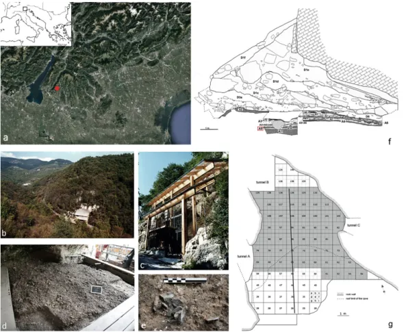 Fig. 1 - The northern Adriatic region with the location of Grotta di Fumane (red) (a); Vajo di Manune  view (b); the site (c); level A9 during the 2009 excavation (d); the lithic concentration of structure  A9II_SXLII (e); sketch of sagittal section of the