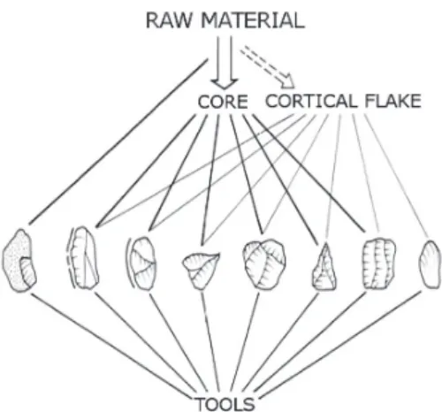 Fig. 2 - The Discoidal reduction strategy at  Fumane  (by  Peresani,  1998).  Ramification  of  the Discoid lithic production in A9; the  reduc-tion sequences are organized along two  paral-lel or divergent axis: the main one on blocks  and nodules and aim