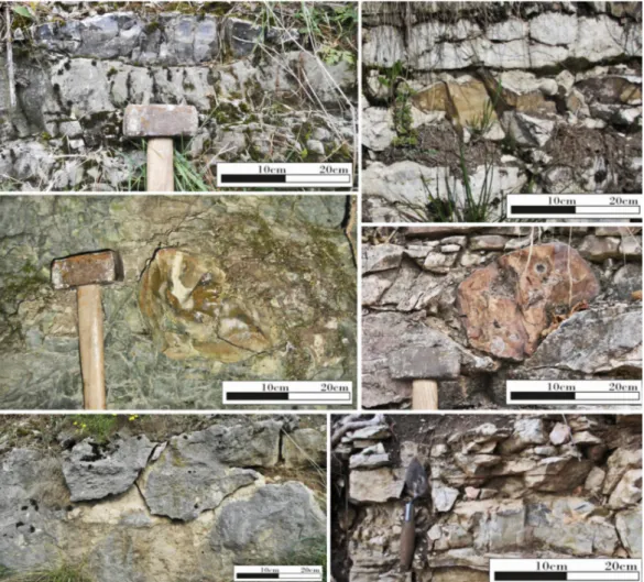 Fig. 3 - Lithic prospection of primary exposures in Western Lessini area: Bi grey (a) and Bi yellow  (b) flint slabs; green-yellow SVA flint nodule (c); SR flint nodule (d); Oolitic sandstones of Tenno  Formation (exposure lacking in flint (e); Eoc flint s