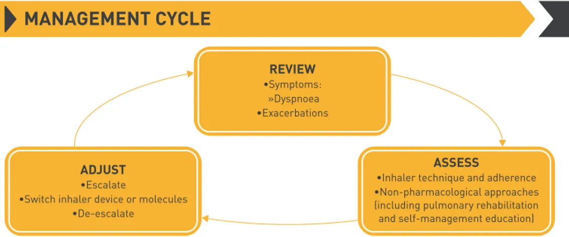 FIGURE 4 Global Initiative for Chronic Obstructive Lung Disease 2019 management cycle recommendations