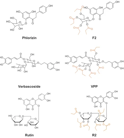 Figure 1.  Chemical structures of glycosylated polyphenols and their derivatives. Phlorizin, 