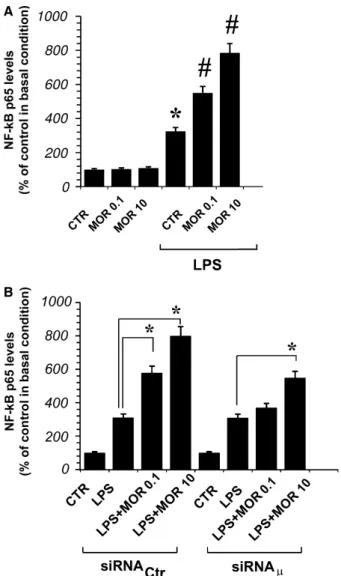 Fig. 1. Effect of morphine on NF-kB activation which was evaluated by detecting activated p65 proteins in nuclear extracts