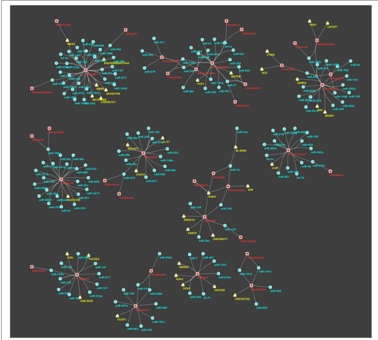 FIGURE 2 | Subnetworks/clusters of non-coding RNAs/drugs associations, according to community analysis