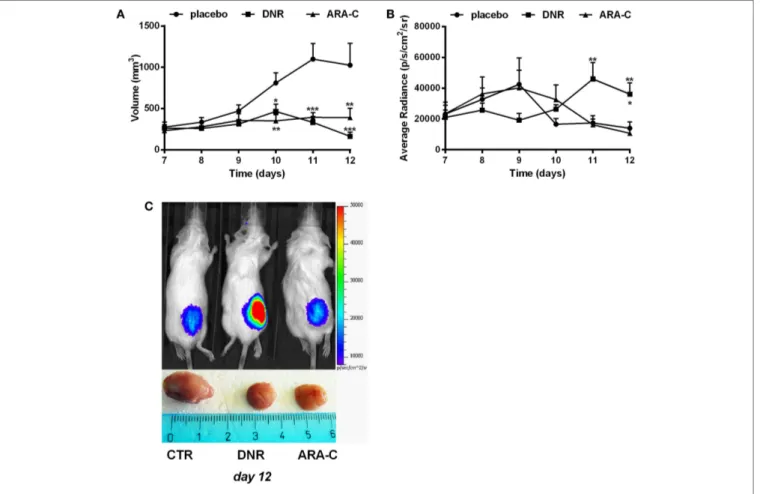 FigUre 5 | DNR increases ATP release in vivo. Balb/cJ mice inoculated with WEHI-3B PmeLUC cells and treated with DNR, ARA-C, or PBS vehicle (placebo) at 