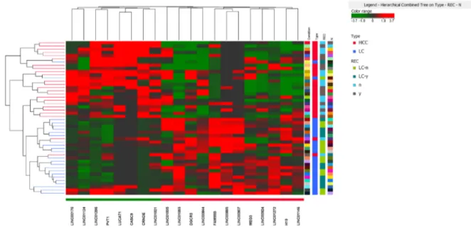 Figure 1: Heat map of long non-coding RNA differentiating HCC from LC adopting a FC&gt;2 (adjusted p&lt;0