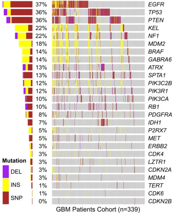 Figure 8:  In silico analysis of genetic mutations found in GBM samples from the TCGA cohort