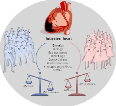 Figure 2. Extreme clinical phenotypes and prognosis in male and female AMI patients. The increased 