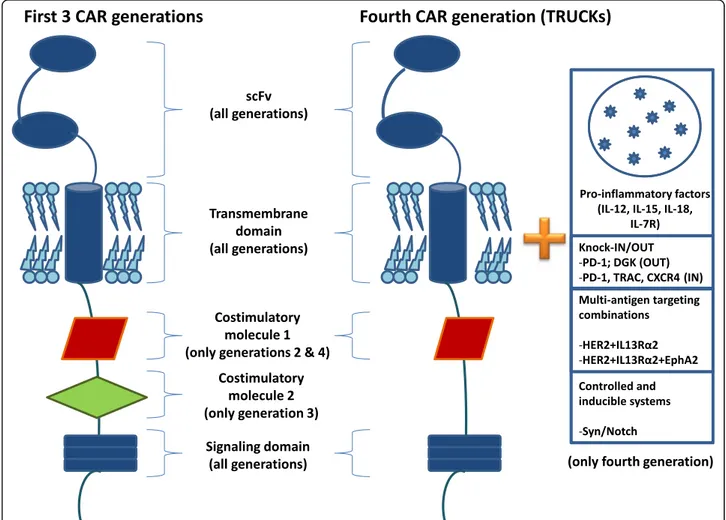 Fig. 1 Different characteristics of chimeric antigen receptor (CAR) generations. scFv, single-chain fragment variable