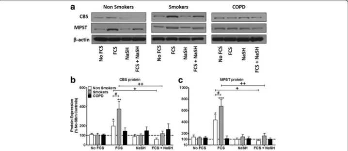 Fig. 4 Effect of inhibiting cystathionine- β-synthase (CBS) on ASM from non-smokers, smokers and COPD patients
