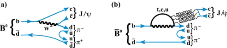 Fig. 1. (a) Tree level and (b) penguin diagram for B 0 decays into J /ψ π + π − .
