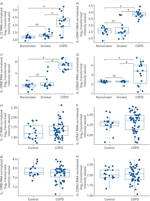 FIGURE 1 Interleukin (IL)-22 and IL-22R mRNA expression are increased in airway epithelial brushings from human mild-to-moderate chronic obstructive pulmonary disease (COPD) patients compared to healthy smokers and nonsmokers