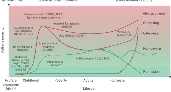 FIGURE 1 Potential severe asthma trajectories and the importance of risk factors and genetic variants (such as single nucleotide polymorphisms)