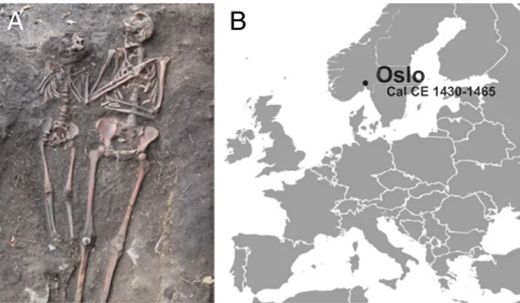 Fig. 1. Sample origin and site location. (A) In situ picture of the double burial SA50521 with individual OSL9/SZ50522 to the right