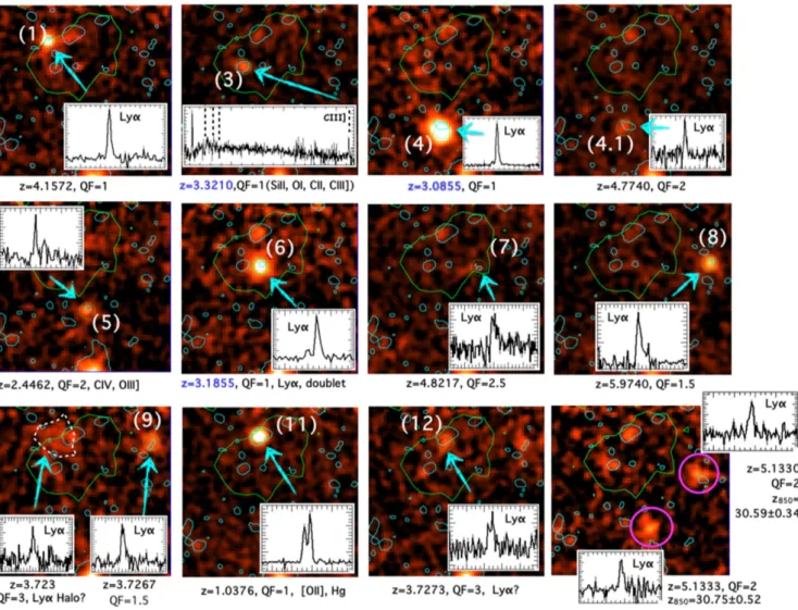 Figure 6. Snapshots of the MUSE spectra (d λ = 1.25 Å) of the identified lines. The IDs correspond on the galaxies marked in Fig