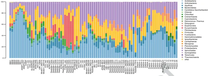 Figure 2.  Stacked bar plot displaying relative abundance at the phylum level of Bacteria and Archaea classified 