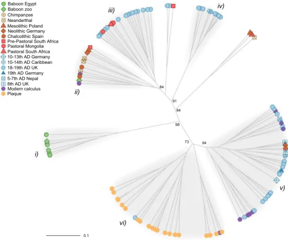 Figure 3.  UPGMA of Bray-Curtis dissimilarities at the family level of oral microbiomes from this study and the 