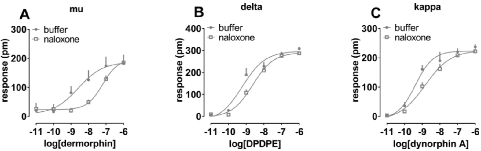 Fig 7. Concentration response curve to dermorphin (panel A), DPDPE (panel B), and dynorphin A (panel C) in the absence and presence of 100 nM naloxone.