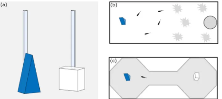 Fig 1. Schematic representation of stimuli and apparatuses. (a) Blue pyramid and the white parallelepiped used as stimuli; (b) familiarisation tank, half occupied by plants and water filter; (c)  two-chambers tank used to asses NOR performance in the test 
